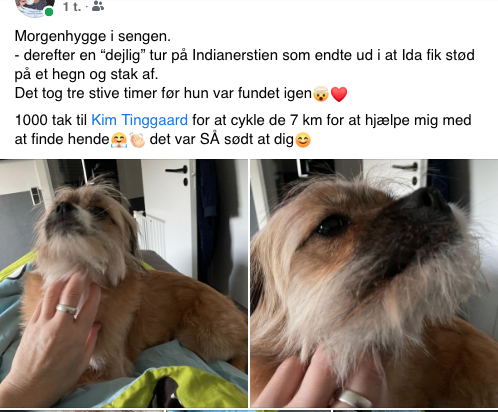 klog sommer Blind ADOPTION af hund – Rumænskehunde.dk
